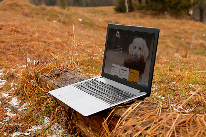 Laptop in Forest